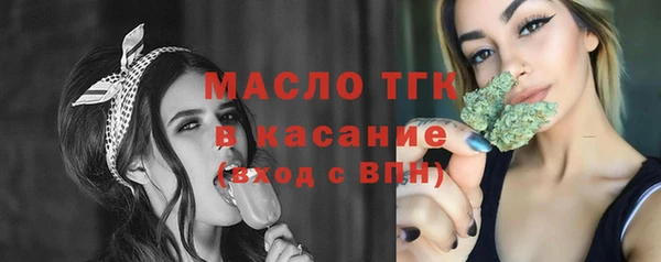 дмт Гусев