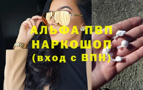 дмт Гусев