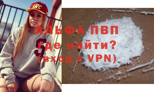 дмт Гусев