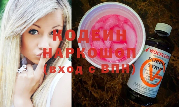 дмт Гусев
