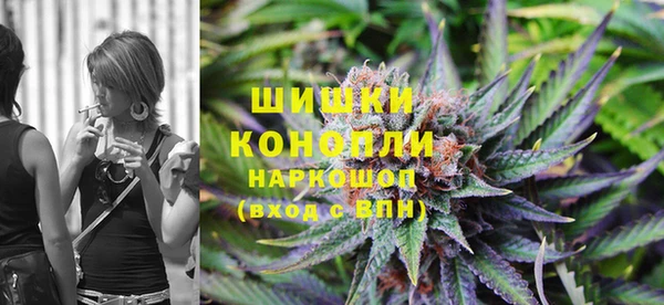 дмт Гусев