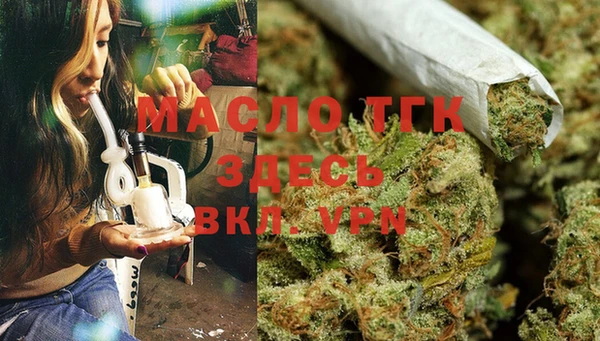 дмт Гусев